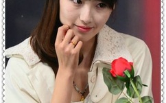 番茄视频在线直播观看免费